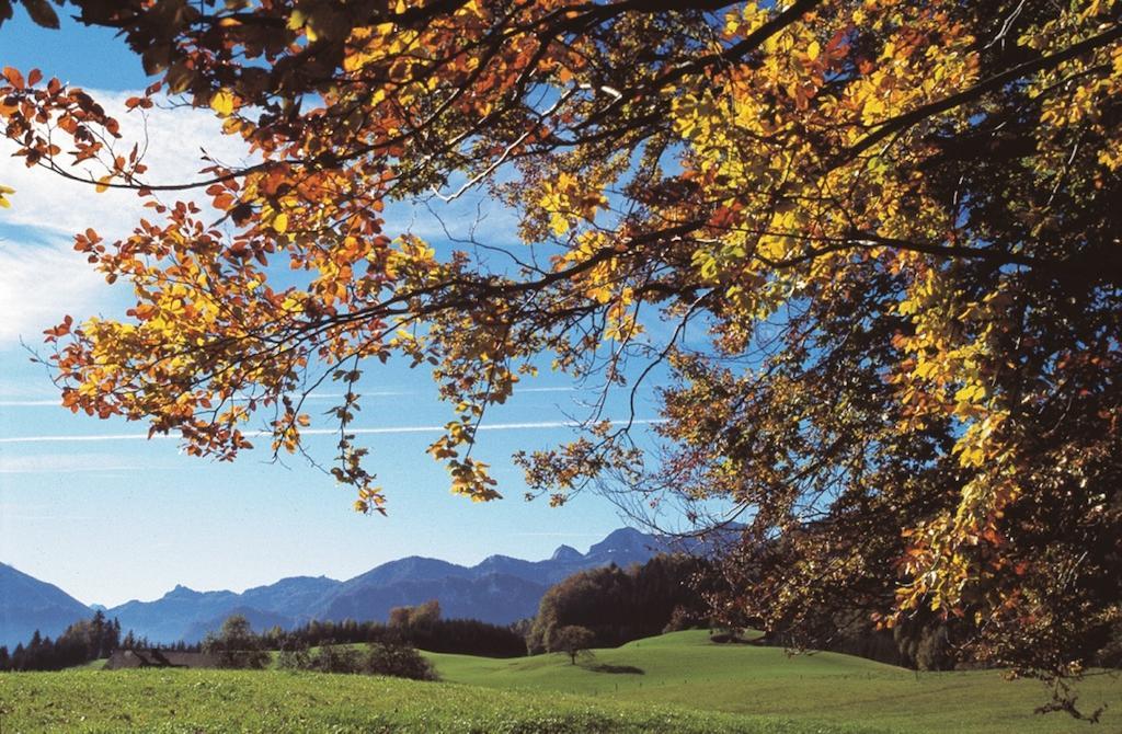Haus Gruber Attersee Exterior foto
