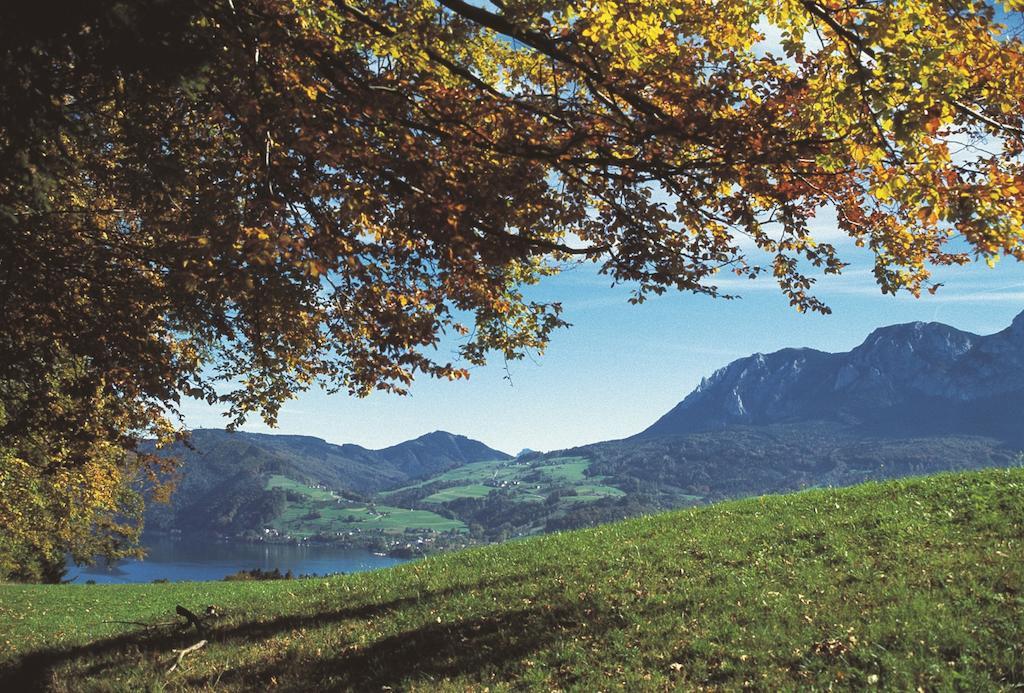 Haus Gruber Attersee Exterior foto