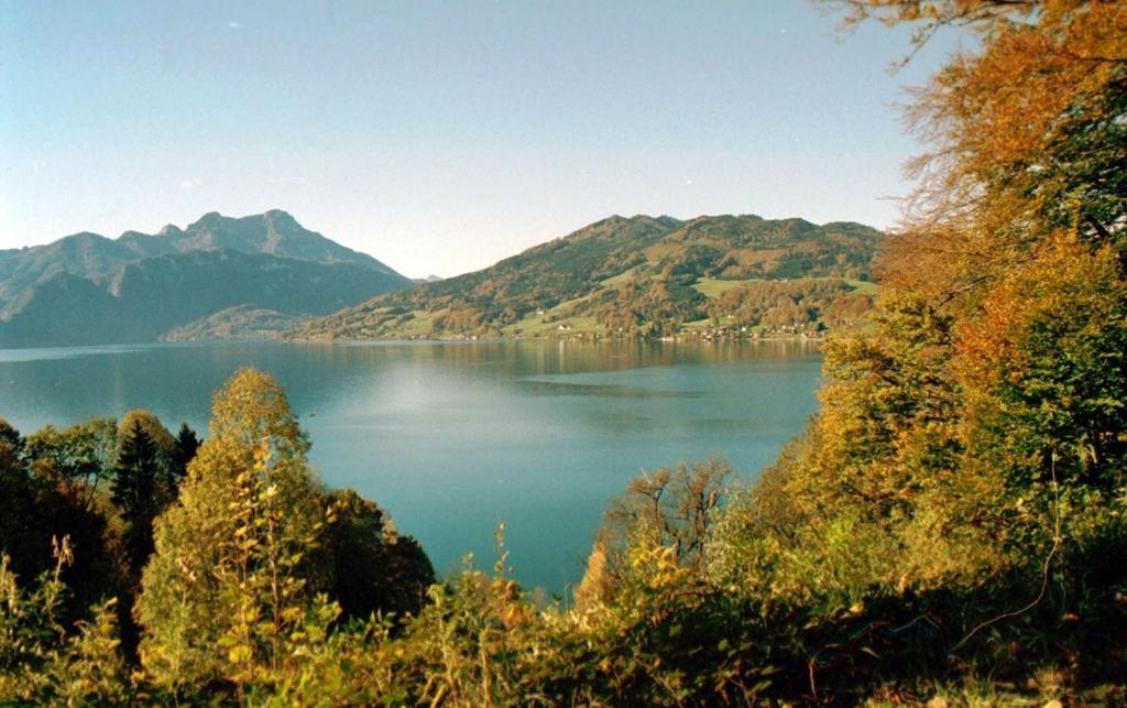 Haus Gruber Attersee Exterior foto